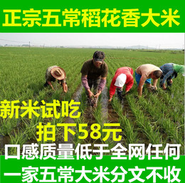 14年新米 东北黑龙江五常稻花香大米 有机非转基因粳贡米礼盒包邮