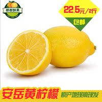 【都都鲜果】四川安岳黄柠檬2斤装 新鲜水果 正宗尤力克柠檬鲜果