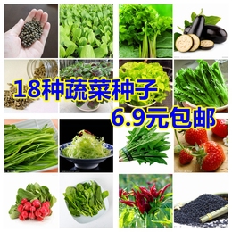 18种蔬菜种子套餐鸡毛菜香菜生菜菠菜草莓小白菜香葱黄秋葵花包邮