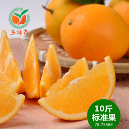 【马蹄岗】赣南脐橙10斤 江西赣州寻乌甜橙子 孕妇新鲜水果现摘