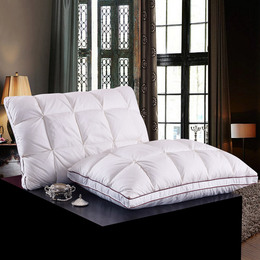 挚纯家纺冬季床品枕头 法式立体扭花羽绒枕芯 品质保证