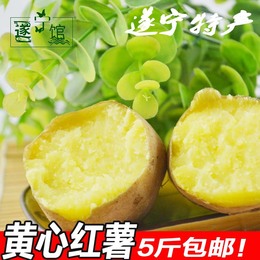 2016四川遂宁黄心地瓜新鲜黄心红薯另售新鲜红心地瓜番薯5斤包邮