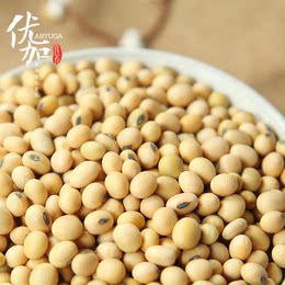 四川高原养生品年货节土黄豆500G农村农家自产五谷杂粮罐装特产