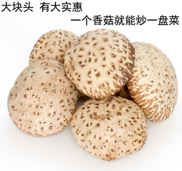 农家自产大花菇香菇干货椴木大香菇肉厚味鲜250g河南土特产