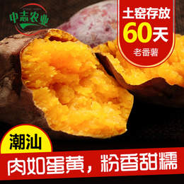 中志农业 后陇老番薯 新鲜沙地红薯 甜地瓜 自家种植 包邮/2.5kg