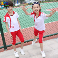 夏季运动会服装儿童班服短袖套装初一六年级4小学5男女生衣服校服