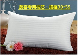 美容枕芯 美容美体按摩枕芯专用儿童小枕芯专用枕芯30*55厂家直销