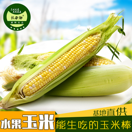 【上里古镇】云南新鲜甜脆玉米水果糯玉米棒粒蔬菜果粗杂粮2kg