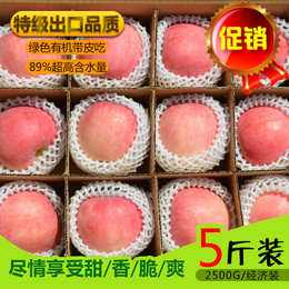 山东烟台栖霞红富士苹果80特产新鲜水果冰糖心香甜好吃 5斤包邮