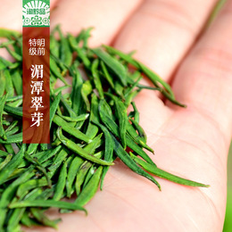 2015春茶贵州特产茶叶湄潭翠芽雀舌新茶叶礼盒特级绿茶50g特价