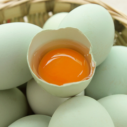 贵州赤水市农家土鸡蛋绿壳鸡蛋绿色食品五黑新鲜鸡蛋生态养殖10枚