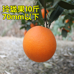 赣南脐橙 江西寻乌橙子农家新鲜水果 榨汁小果橙10斤装