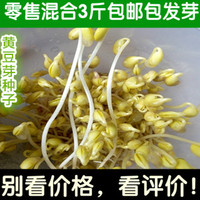 芽苗菜种子小黄豆芽种子黄豆芽豆 阳台菜种子小金黄690 5斤包邮