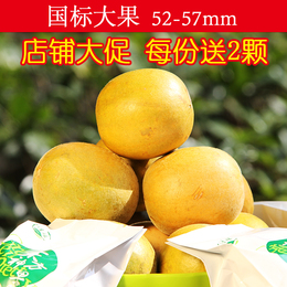 【大促】桂林永福低温脱水罗汉果包邮罗汉果茶10个大果52-57mm
