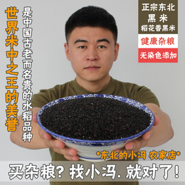 冯小二 东北特产黑米 农家自产 稻花香黑米 五谷杂粮 黑米粥 500g