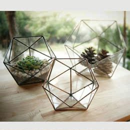 新品包邮多肉植物玻璃花房几何玻璃花器生态瓶苔藓微景观创意花盆