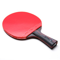 辉胜 双面反胶乒乓球拍攻守平衡型 纳米碳王底板红海绵乒乓球拍