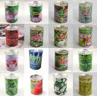 易拉罐植物灌装种子桌面绿植创意罐头花卉种子套餐罐套餐新奇植物