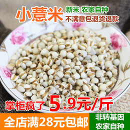 精选小薏米仁 薏米 薏仁米 苡米仁250g 贵州特产五谷杂粮粗粮粮油