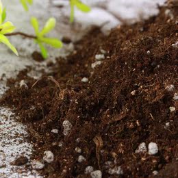 多肉植物 花卉盆栽 专用营养土 赤玉土 鹿沼土 进口泥炭土