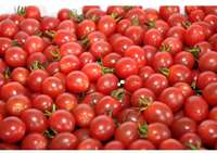 海南小柿子黄圣女果 台湾千禧春桃柿子奶头柿子 新鲜水果甜番茄