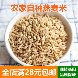 燕麦米 新货农家自种燕麦仁荞麦米全胚芽燕麦五谷杂粮粗粮250g