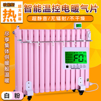 加水电暖器省电节能电加热取暖器加水电暖气片家用智能注水暖气片