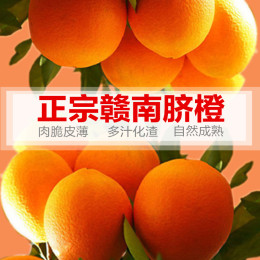【预售】江西赣州特产赣南脐橙10斤现摘水果新鲜精品果甜橙子包邮