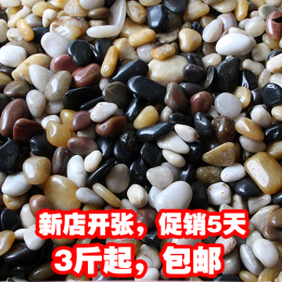 园艺南京雨花石鹅卵石天然五彩石小石子彩色石头鱼缸底彩原石