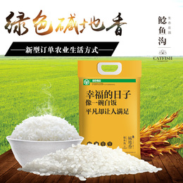 鲶鱼沟东北黑龙江盐碱地绿色大米幸福的日子5斤粳米新米现磨