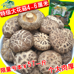 新鲜大花菇香菇干货农家特产家用干香菇蘑菇特级野生椴木花菇500g