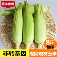 蒋氏食品_云南新鲜水果玉米现摘甜玉米新鲜玉米棒农家自种8斤包邮