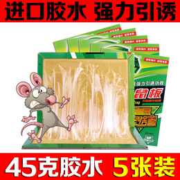 5张装 绿叶粘鼠板超强力大老鼠贴驱鼠灭鼠器夹老鼠胶药家用捕鼠器