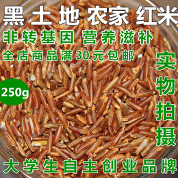 东北农家自产红米 红粳米红血稻糙 五谷杂粮吃的正品真空包装250g