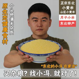 东北农家自产山区黄小米 月子米 小米子 宝宝米 无化肥农药 500g