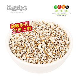 小薏米仁薏苡仁250克半斤新鲜贵州薏仁米养生五谷杂粮粗粮新货