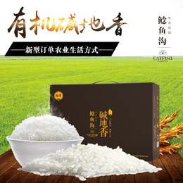 东北黑龙江鲶鱼沟盐碱地有机大米生态新米10斤粳米