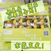 酒店奶茶水果店专用一级黄柠檬6.5元/斤双胞胎包装广东满120元包