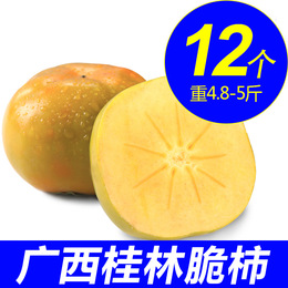 脆柿 12个广西桂林恭城新鲜水果真空甜脆柿 硬柿大果装包脆甜包邮