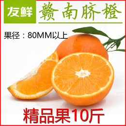 赣南脐橙 新鲜橙子酸甜现摘现发水果精品果10斤 十一月发货 包邮