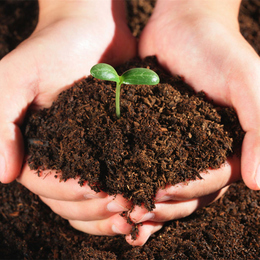 营养土   有机栽花土 种菜土泥炭土 松软透气 腐殖质土肥料