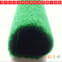 人造草坪仿真人工塑料幼儿园地毯假草皮阳台室外加密阻燃草高尔夫