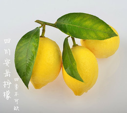 安岳 新鲜 黄柠檬 特级果出口品质孕妇水果  每个3元 20个 包邮