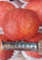 新疆阿克苏冰糖心苹果3斤 果径90mm 大富士苹果 哈市同城当天配送