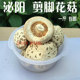 39.8一斤包邮农家自种剪脚泌阳 花菇干货 冬菇香菇500G土特产